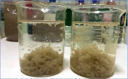 1705893144467454.png image.png