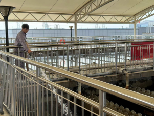 1725329085337326.jpg 1725329159965.jpg